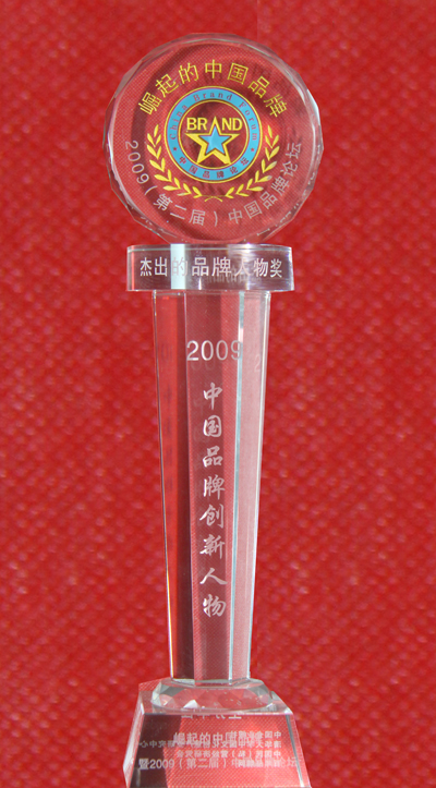 “2009中国品牌创新人物”称号