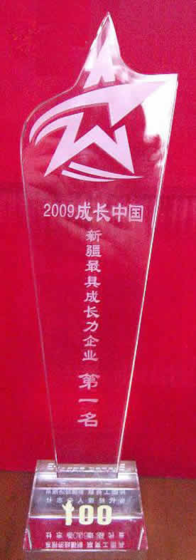 2009成长中国·新疆最具成长力企业奖