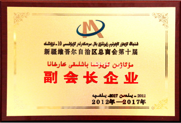 新疆维吾尔自治区工商联（总商会）副会长企业