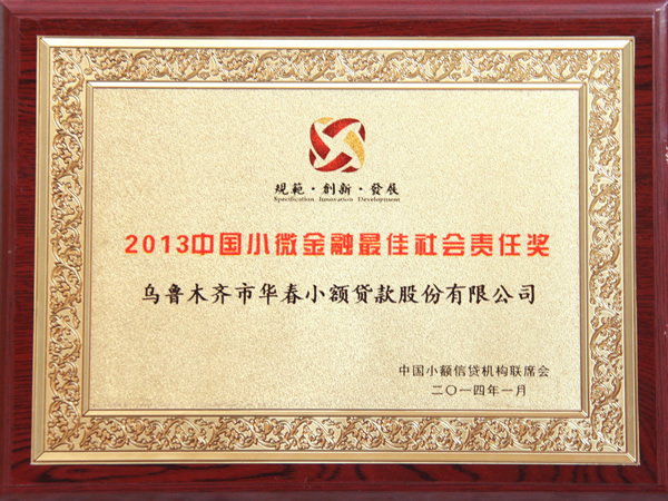 2013中国小微金融最佳社会责任奖